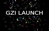 Gzi launch
