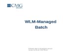 WLM-Managed Batch por João Silva