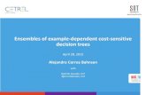 Ensembles of example dependent cost-sensitive decision trees slides