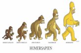 Evolution Presentation: Homology