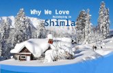 Why We Love Holidaying in Shimla