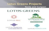 Lotus Green Projects