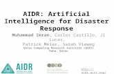 Artificial Intelligence for Disaster Response