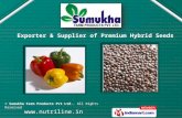Vegetables Seeds & Fertilizers by Sumukha Farm Products Pvt Ltd., Hosur