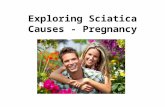 Exploring Sciatica Causes - Pregnancy