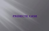 Proiecte Case