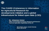 Ciard Initiative and a Global Infrastructure for Linked Open Data