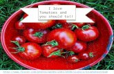 Yummy Tomatoes