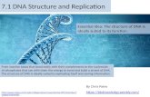 Bioknowledgy 7.1 DNA structure and replication AHL