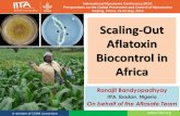 Scaling out aflatoxin biocontrol in Africa