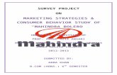 marketing strategies and consumer behaviour study for Mahindra Bolero