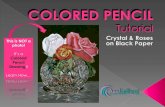 Colored Pencil Tutorial - Crystal & Roses