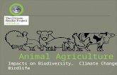 Animal agriculture impacts on biodiversity, climate change and birdlife birdlife melbourne real deal