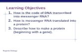 DNA, RNA, and Proteins