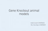 Gene knockout animal models