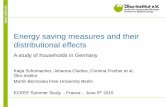 Energy saving measures and their distributional effects