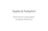 Apples&Pumpkins. Первая публичная презентация