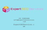 ExpertSeoServices.com Video Marketing PowerPoint