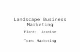 1 5 Landscape Business Marketing