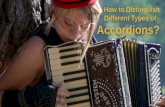 How to Distinguish Different Types of Accordions?