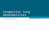 Congenital lung abnormalities