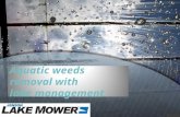 AquatiKnow more about aquatic weeds removal with lake managementc weeds removal with lake management