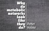 Why do metabolic networks look like they do?