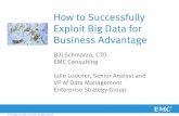How to Successfully Exploit Big Data for Business Advantage