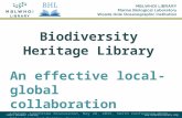 Biodiversity Heritage Library, an effective local-global collaboration. The perspective from Woods Hole.