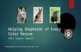 2014 impact report for Helping Shepherds of Every Color Rescue