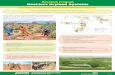 Research program -  Resilient Dryland Systems