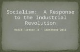 Socialism and the Industrial Revolution