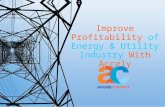 Improve Profitability of Energy & Utility Industry With Accely