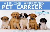 Pet airline carriers