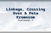 7. linkage, crossing over & peta kromosom