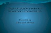 Bibin organiations study at sangrose, mavelikkara