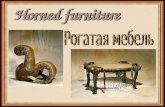 Horned furniture     /Рогатая мебель