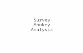 Survey Monkey Analysis