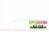 2007 2010 grasshopper young-corporate & institutional merchandise business