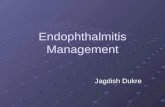 Endophthalmitis management