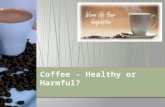 Coffee healthy or harmful play