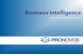 ProNovos | Insight You Can Build On