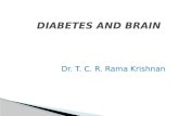 Diabetis & brain