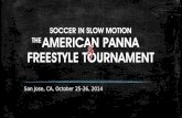 American Panna & Freestyle Tournament