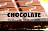 CHOCOLATE EN PELIGRO
