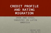 Credit profile and rating migration of iron and steel industry in latin america