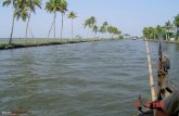 Back Waters, Kerala   India