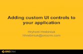 Adding custom ui controls to your application (1)