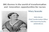 The Mary Seacole Memorial Lecture 2015 Royal College of Nursing Congress