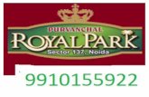 Purvanchal Royal Park Flats for Rent - 9911154422 , Sector 137 Noida